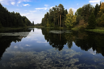 On the lake / ***