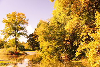 Golden Autumn / ***