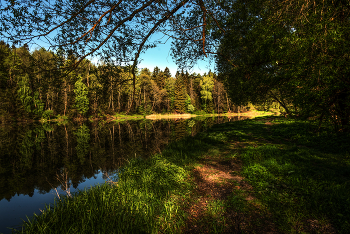 Forest Lake. / ***