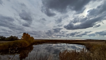 Autumn colors / ***