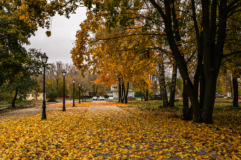 Leaf fall / ***