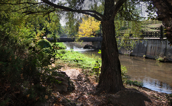 Autumn Gatchina / ***