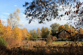 Autumn in the village / ***