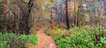 Autumn / ***