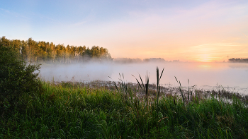 Foggy morning / ***