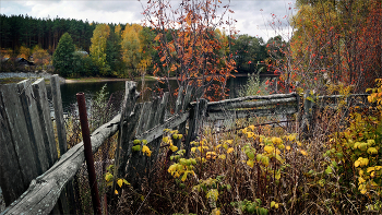 *Autumn sketch** / ***