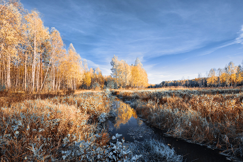 Golden Autumn / ***