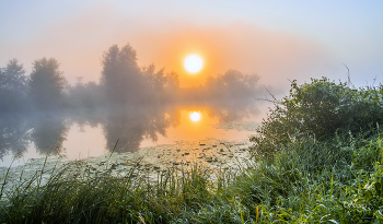 Summer morning. / ***