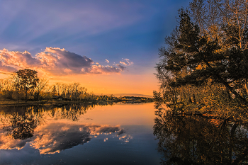 Evening light / ***