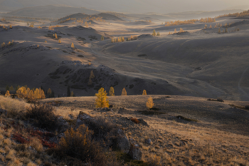 Altai autumn / ***