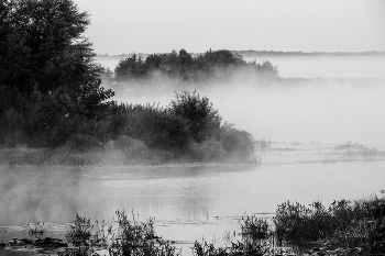 Fog / ***