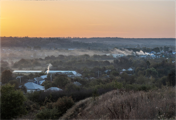 Sunrise in the forest / ***