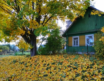 House in the village. / ***