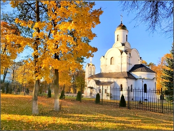 Autumn in the city / ***