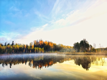 Dawn on the swamp / ***