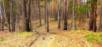 Autumn walk / ***