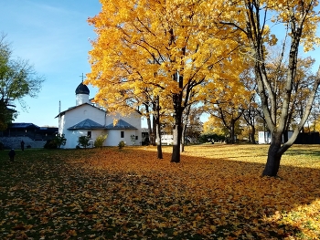 Autumn Gold / ***