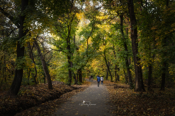 Autumn walk / ***