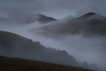 Misty / ***