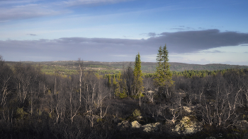 The days of late autumn ... / ***