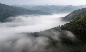 Fog over the river / ***