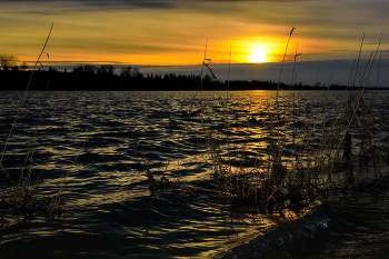 Autumn evening / ***