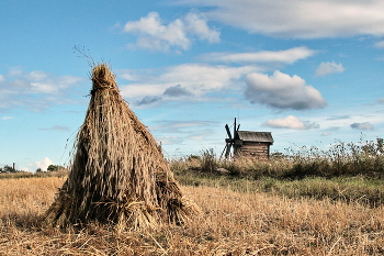 haymaking / ***