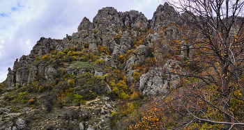 Autumn in the Valley of Ghosts / ***