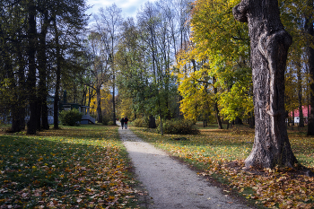 Autumn Walk / ***