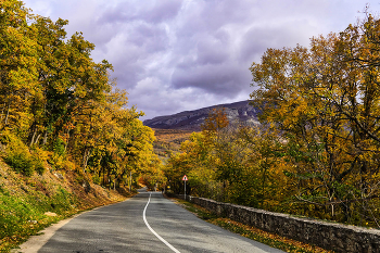 Autumn road / ***