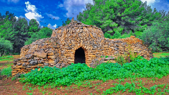 Pla Sta. Maria - Ruta de la Capona (barraca de les oliveres) - Alt Camp / Pla Sta. Maria - Ruta de la Capona (barraca de les oliveres) - Alt Camp