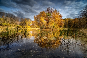 Autumn in Sokolniki / ***