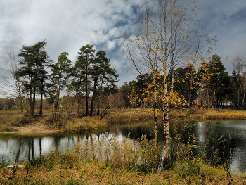 In the golden autumn / ***