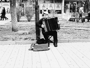 Accordionist / ***