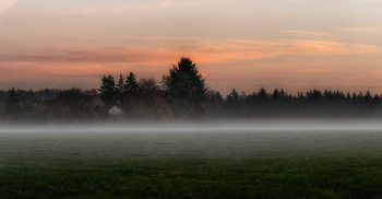 Evening fog / ***