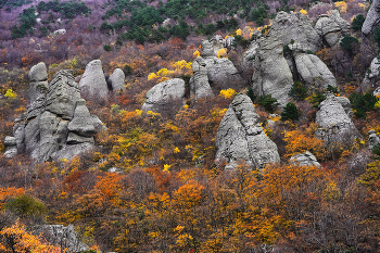 Autumn in the Valley of Ghosts / ***