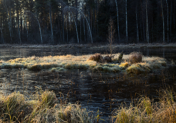 Morning frost / ***