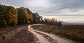 Autumn road / ***