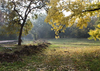 *Autumn sketch** / ***