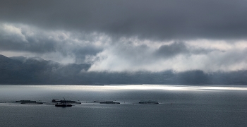 Barencevo sea / ***