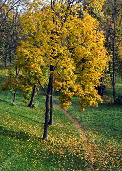 The road to autumn / ***