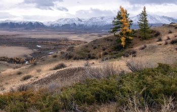 Autumn Altai / ***