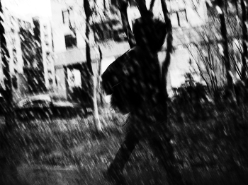 Tree / ***
