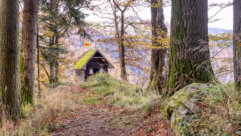 &nbsp; / Hütte am Waldrand einer Schlucht