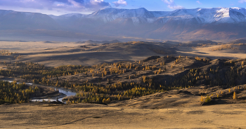 Altai autumn / ***