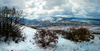 Winter panorama / ***