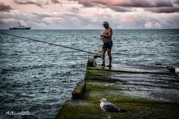 Fisherman and the seagull / ***