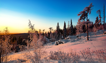 Morning on the slopes / ***