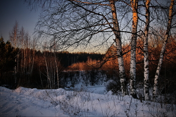 Spring evening. / ***