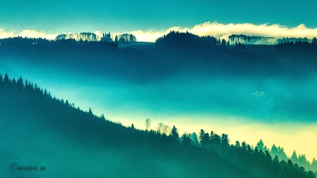 Nebel am Morgen / der Nebel hängt im Tal